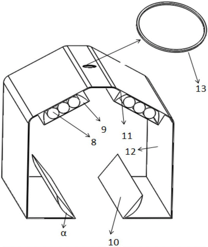 Online image acquisition system for detecting citrus skin defects and method