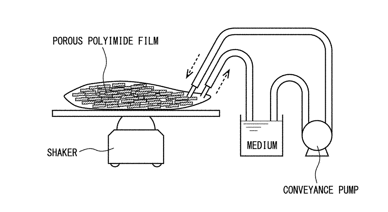 Method, device and kit for mass cultivation of cells using polyimide porous membrane