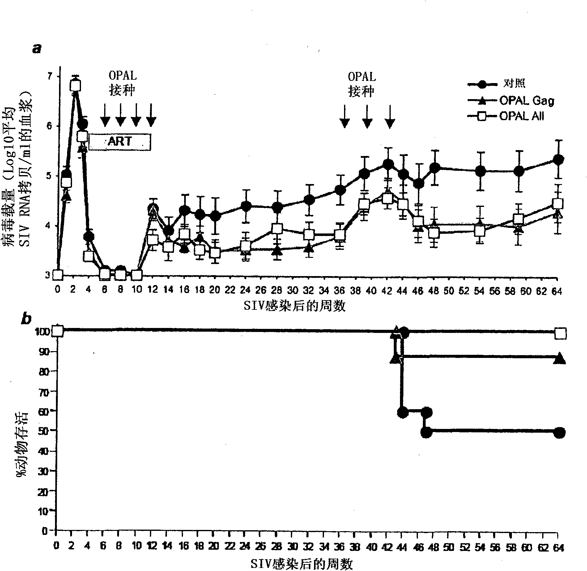 Immunomodulating compositions and uses therefor