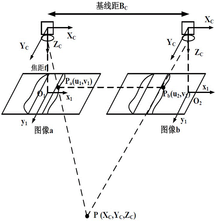 Monocular and binocular multiplexed invading object monitoring method and system