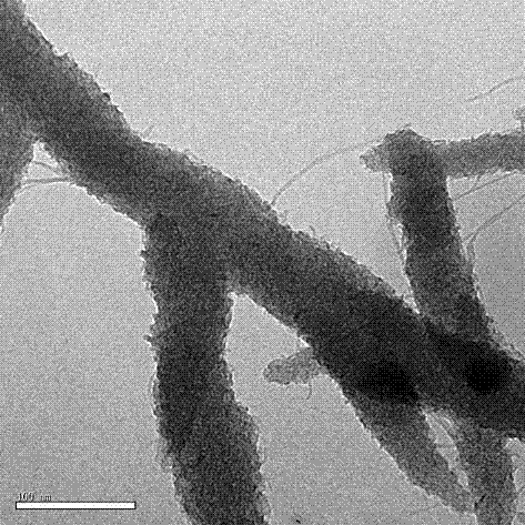 Polyaniline nanofiber/manganese dioxide nanorod composite material and preparation method thereof