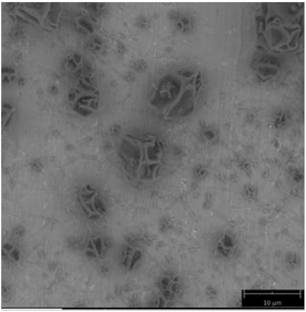 Edible corn protein-based food packaging material and preparation method for same