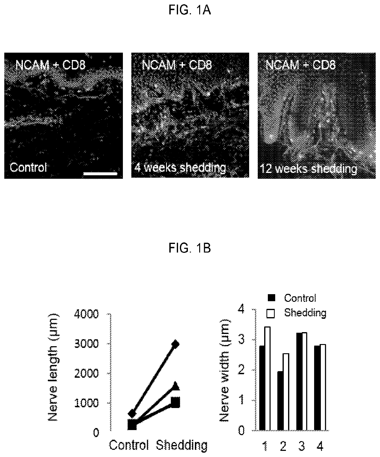 Compositions, kits, and methods using interleukin-17C to promote neural growth and/or neural survival