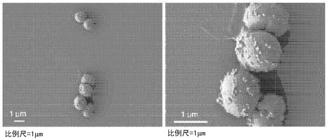 Extracellular vesicles derived from gram-positive bacteria, and use thereof