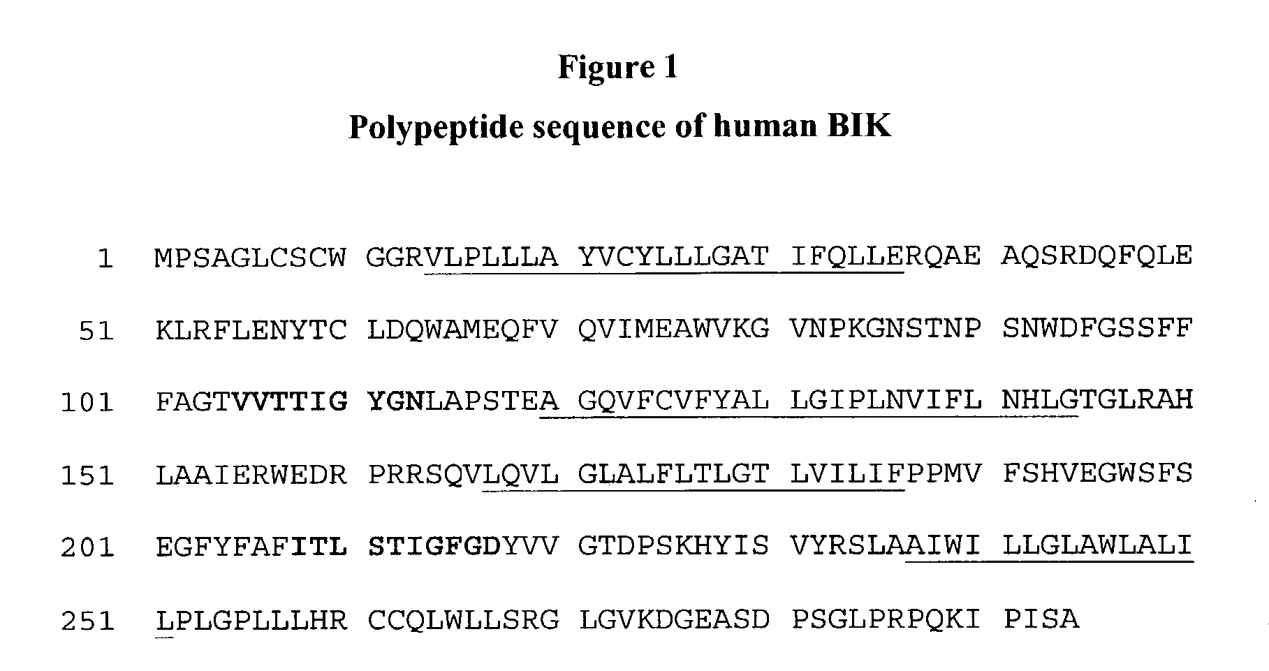 Isolated islet beta-cell two-pore domain potassium channel