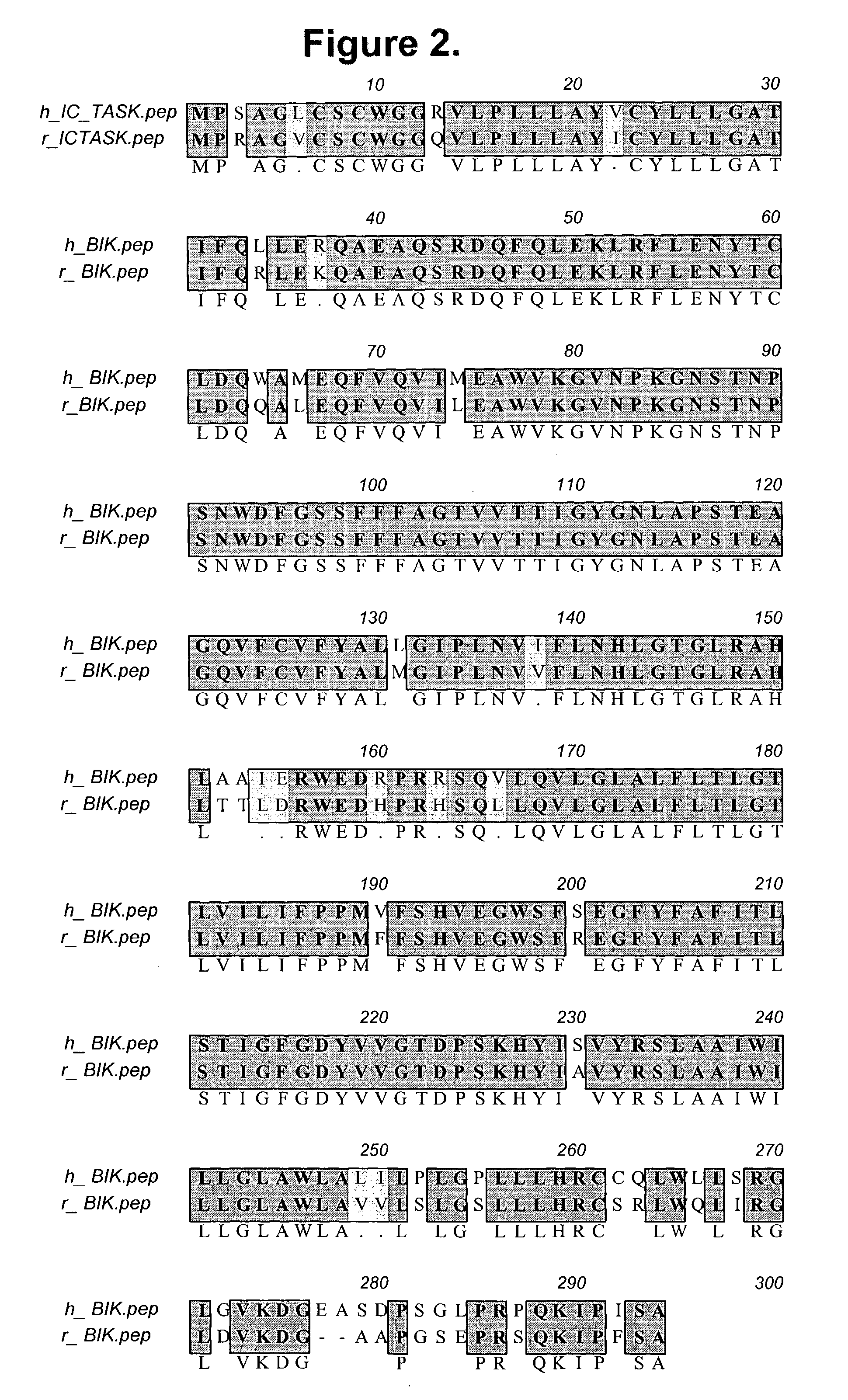 Isolated islet beta-cell two-pore domain potassium channel