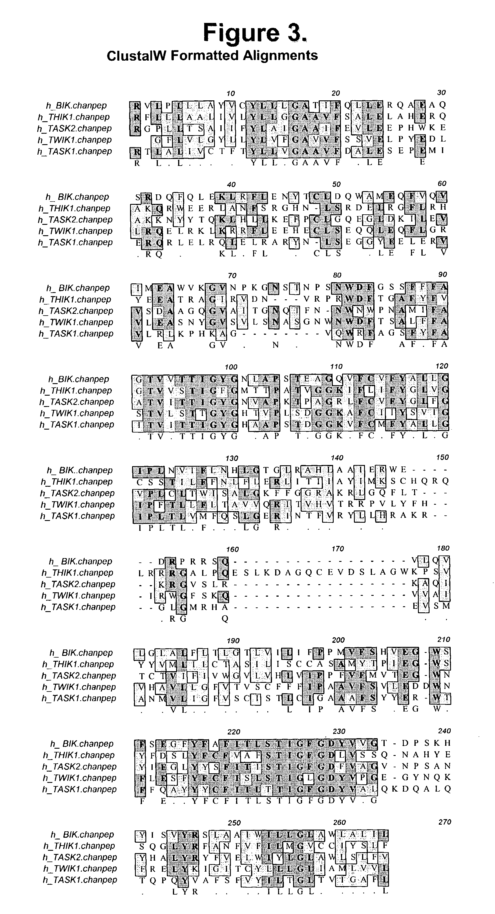 Isolated islet beta-cell two-pore domain potassium channel