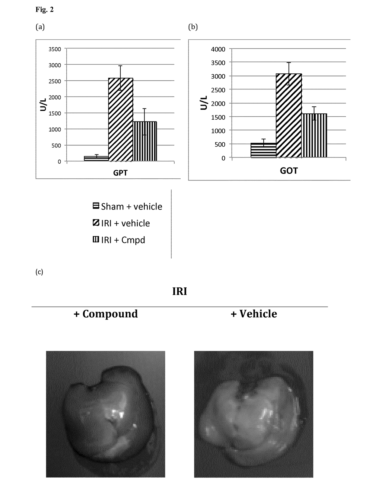 Spiropyrazine derivatives as inhibitors of non-apoptotic regulated cell-death