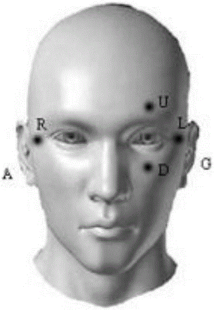 EOG-based human body behavior identification system and method