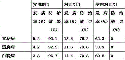 Disease and insect pest control method for Coriandrum sativum