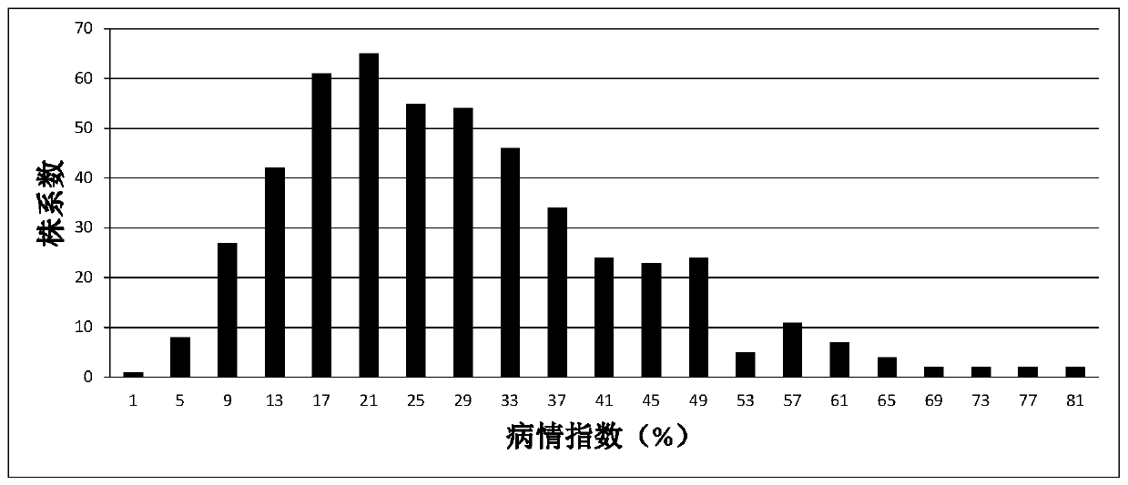 The ssr molecular marker closely linked to the main gene locus of sesame resistance to stem spot blight and its application