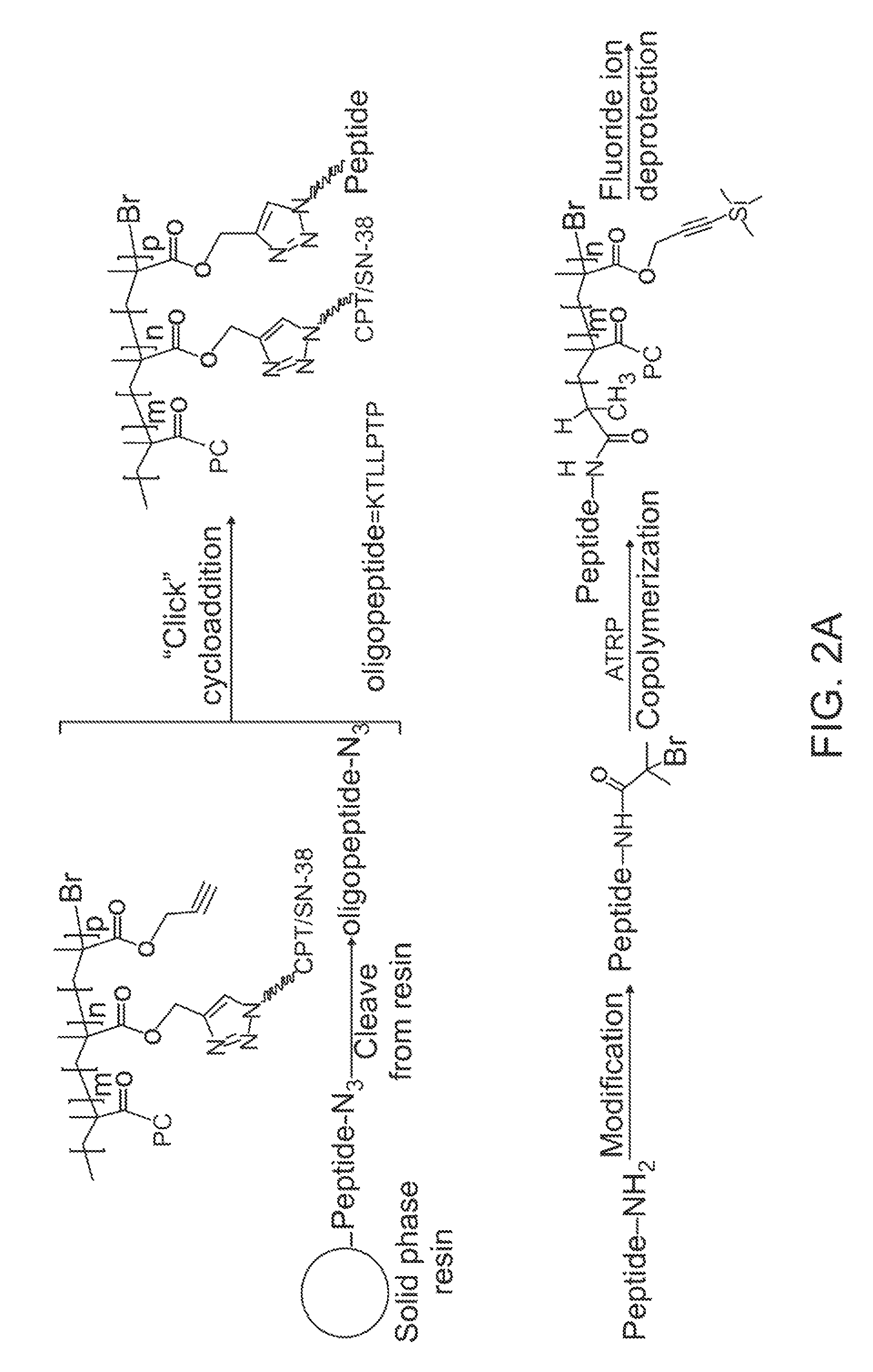 Zwitterionic polymers with therapeutic moieties