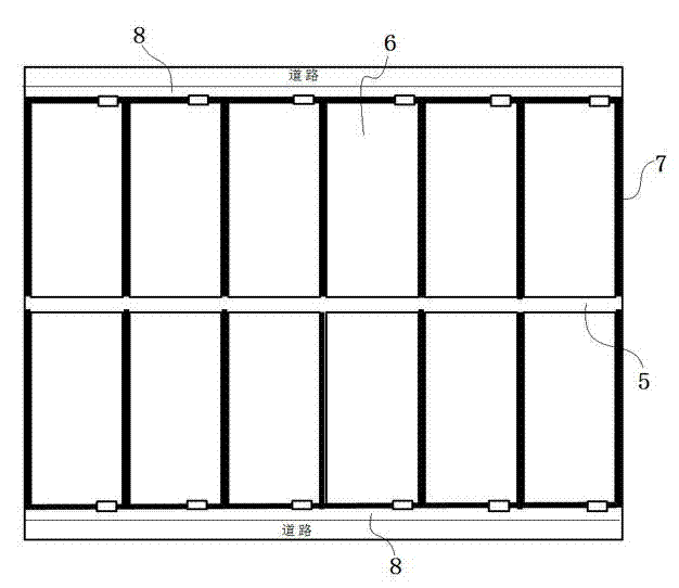 Rice field ditch integrated ecological high-value rice and soft-shelled turtle planting and breeding method