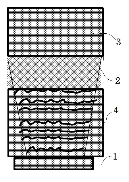 Rice field ditch integrated ecological high-value rice and soft-shelled turtle planting and breeding method