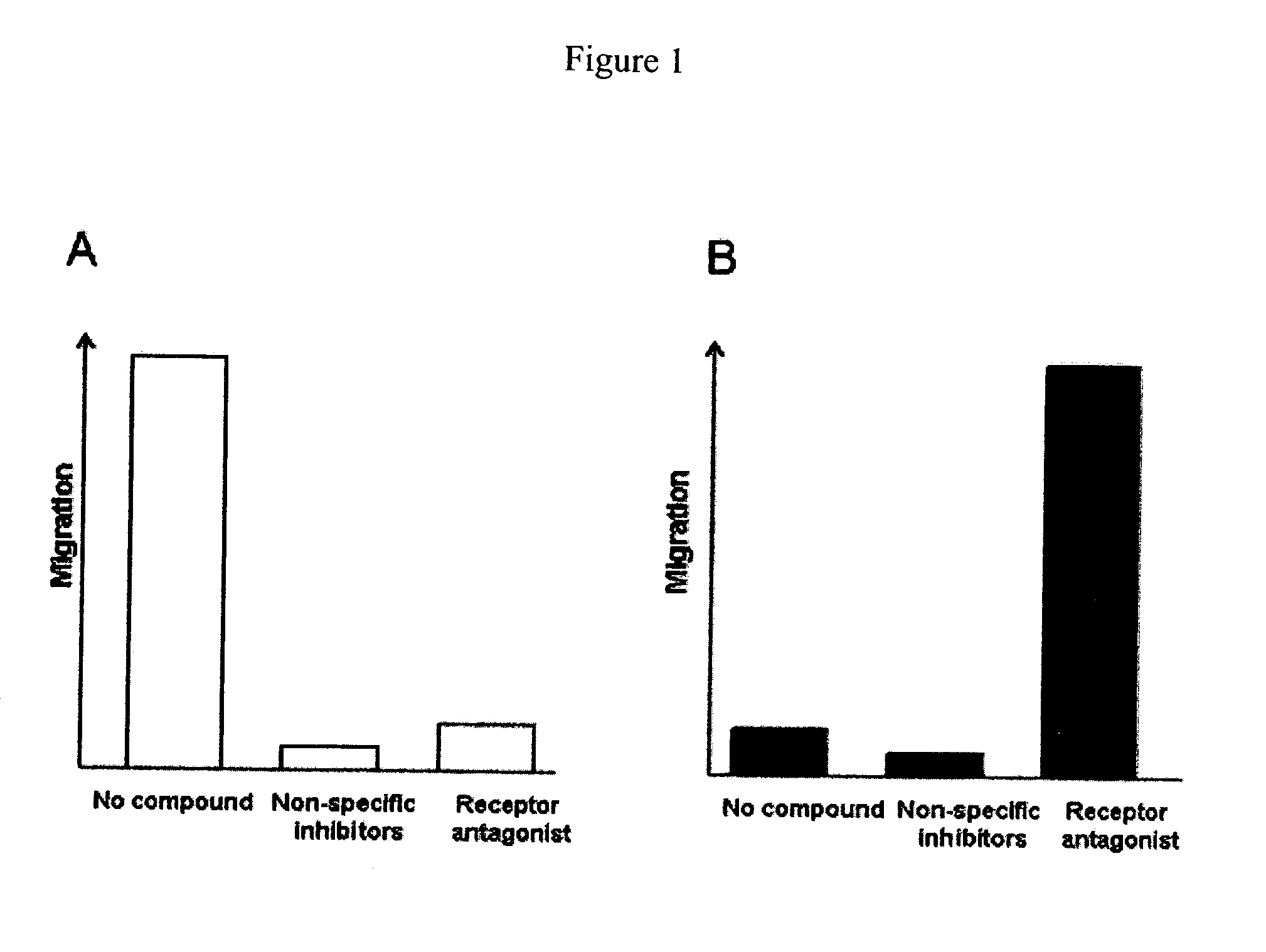 Cell migration assay