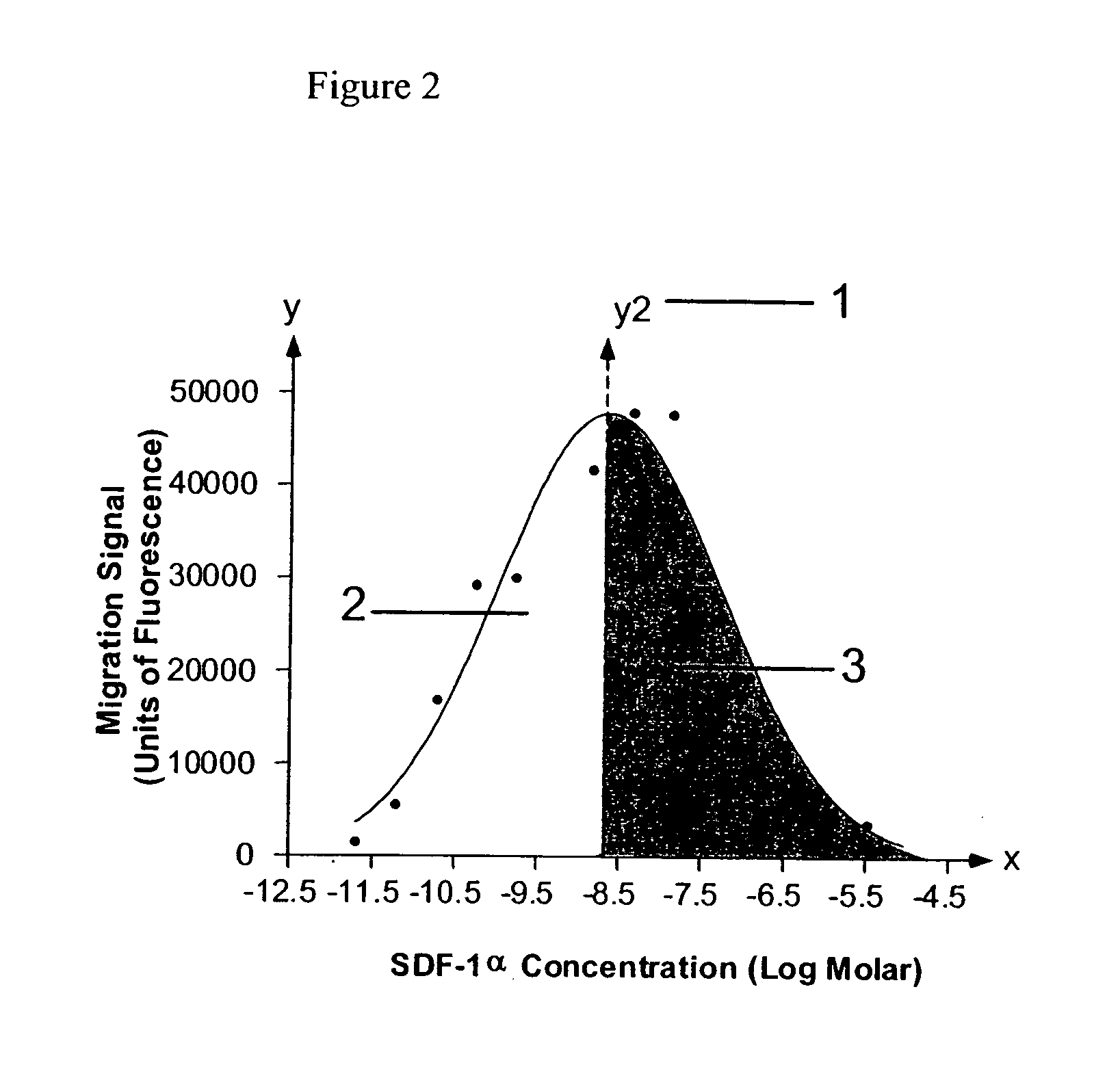 Cell migration assay