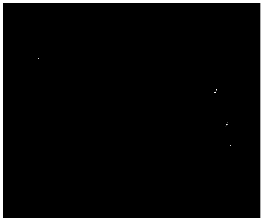 Porous nano manganese oxide catalyst, preparation and application thereof