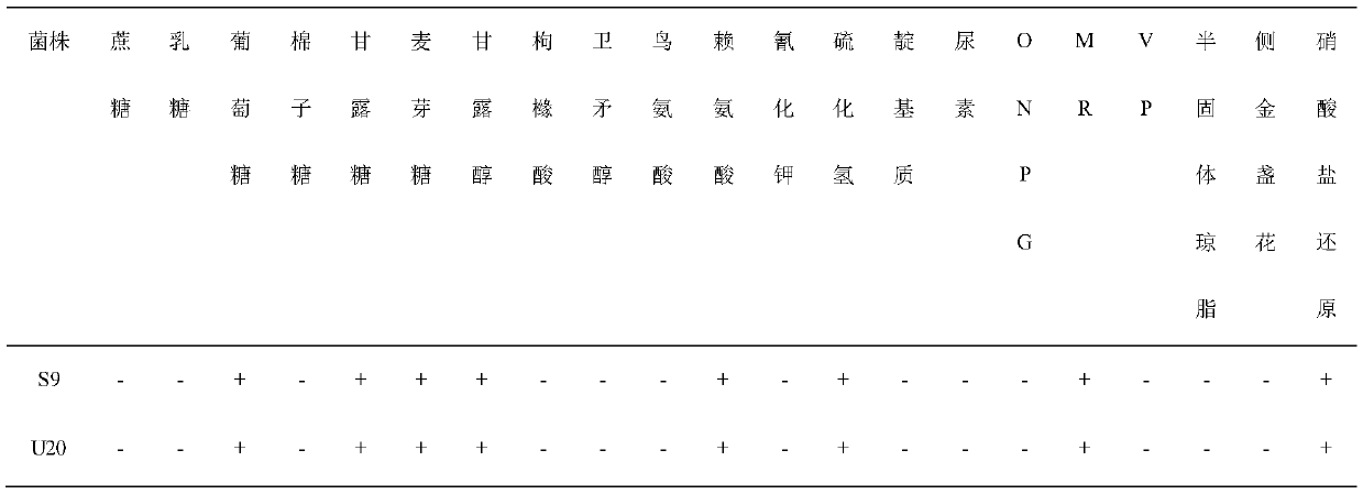 Inert carrier salmonella and potential application thereof