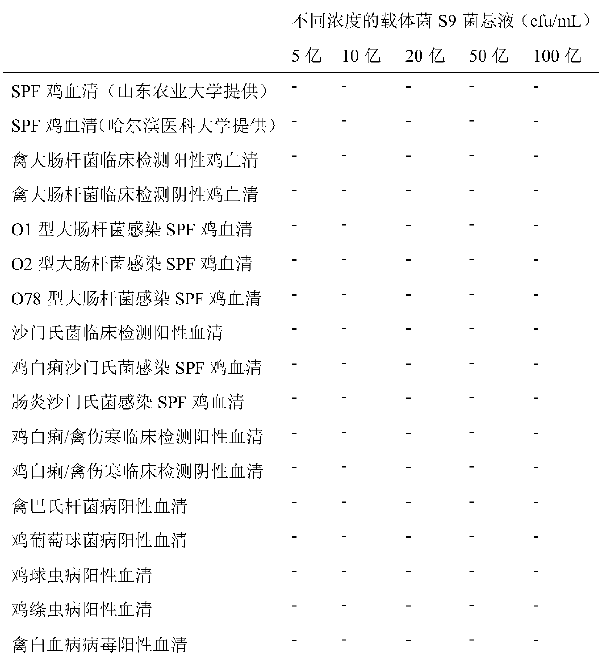 Inert carrier salmonella and potential application thereof