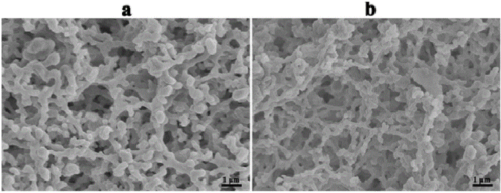 Detection method of graphene oxide test paper for identification of collagen peptide