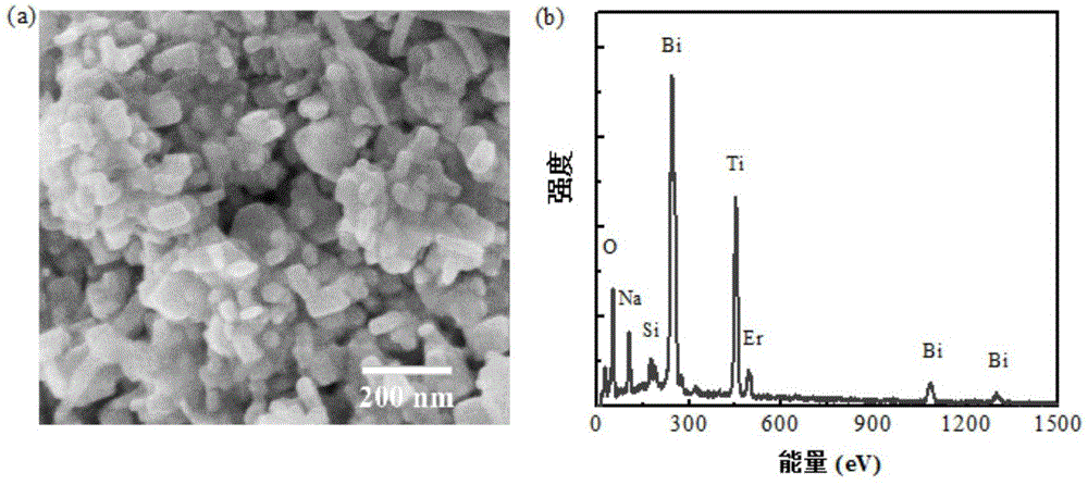 Nanometer fluorescence thermometer and preparation method thereof