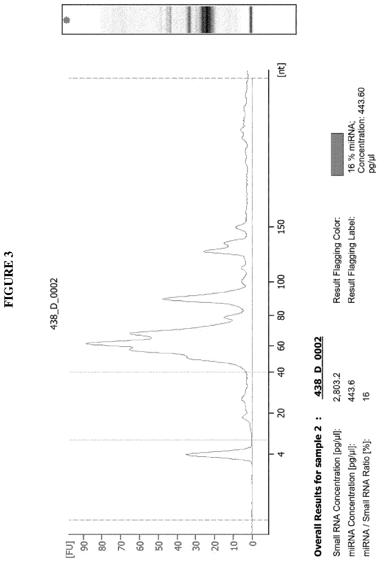 Purification of RNA fractions using a hydrophilic polymeric material