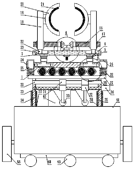 Pivot steering device for bio-robot