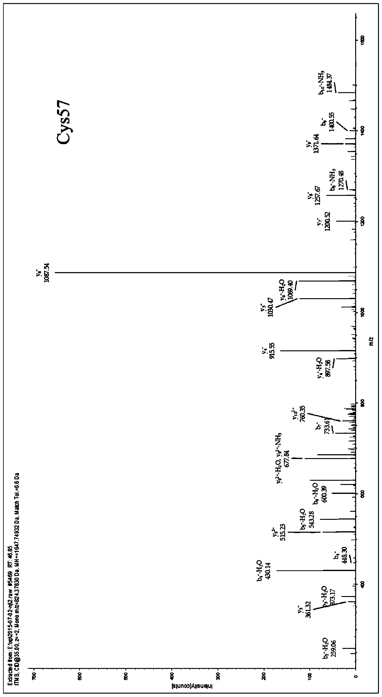 Application of a kind of adenine nucleotide transporter 1