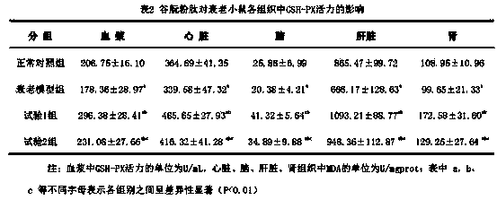 Process technique for preparing wheat gluten powder peptide by fermentation and enzymolysis method