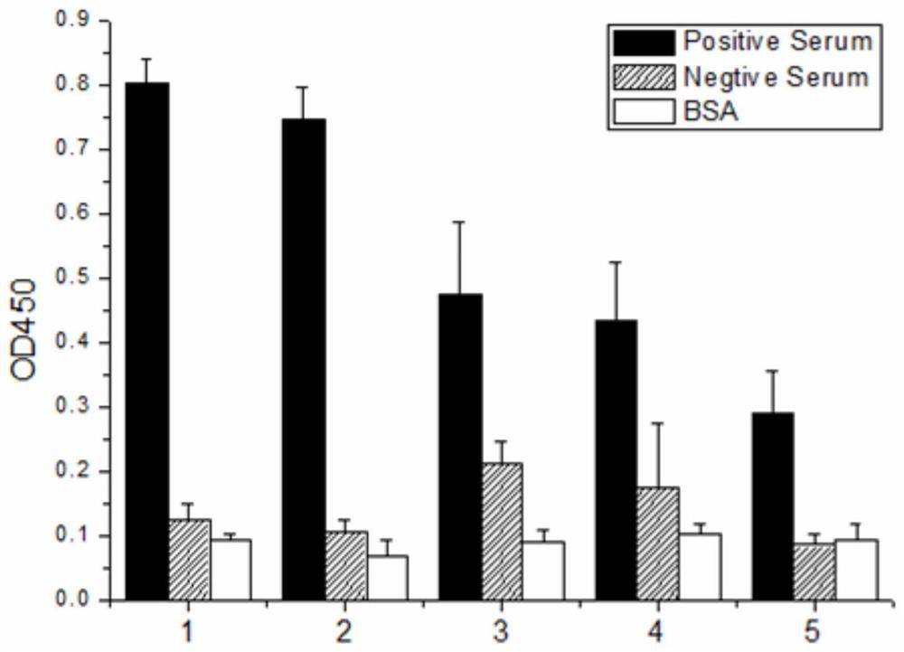 Polypeptide specifically binding to Mycoplasma pneumoniae positive serum and diagnostic kit