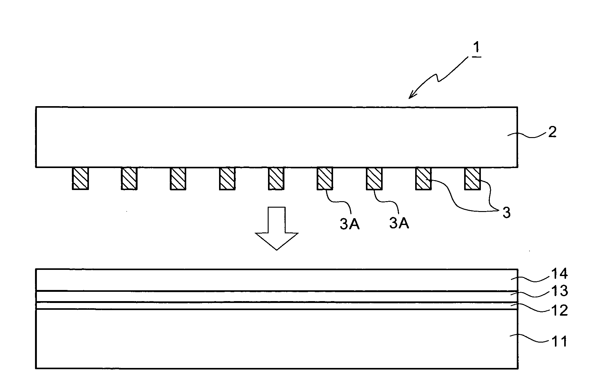 Wire grid polarizer and method for producing same