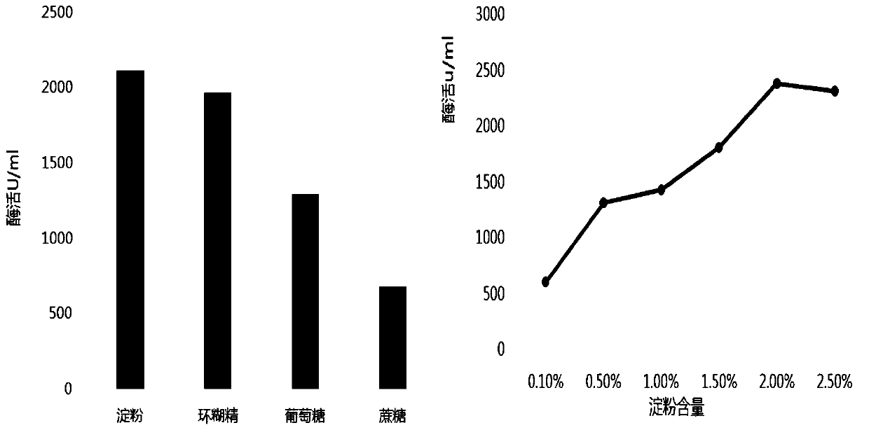 Fermentation culture method of aspergillus producing beta-cyclodextrin glucosyltransferase