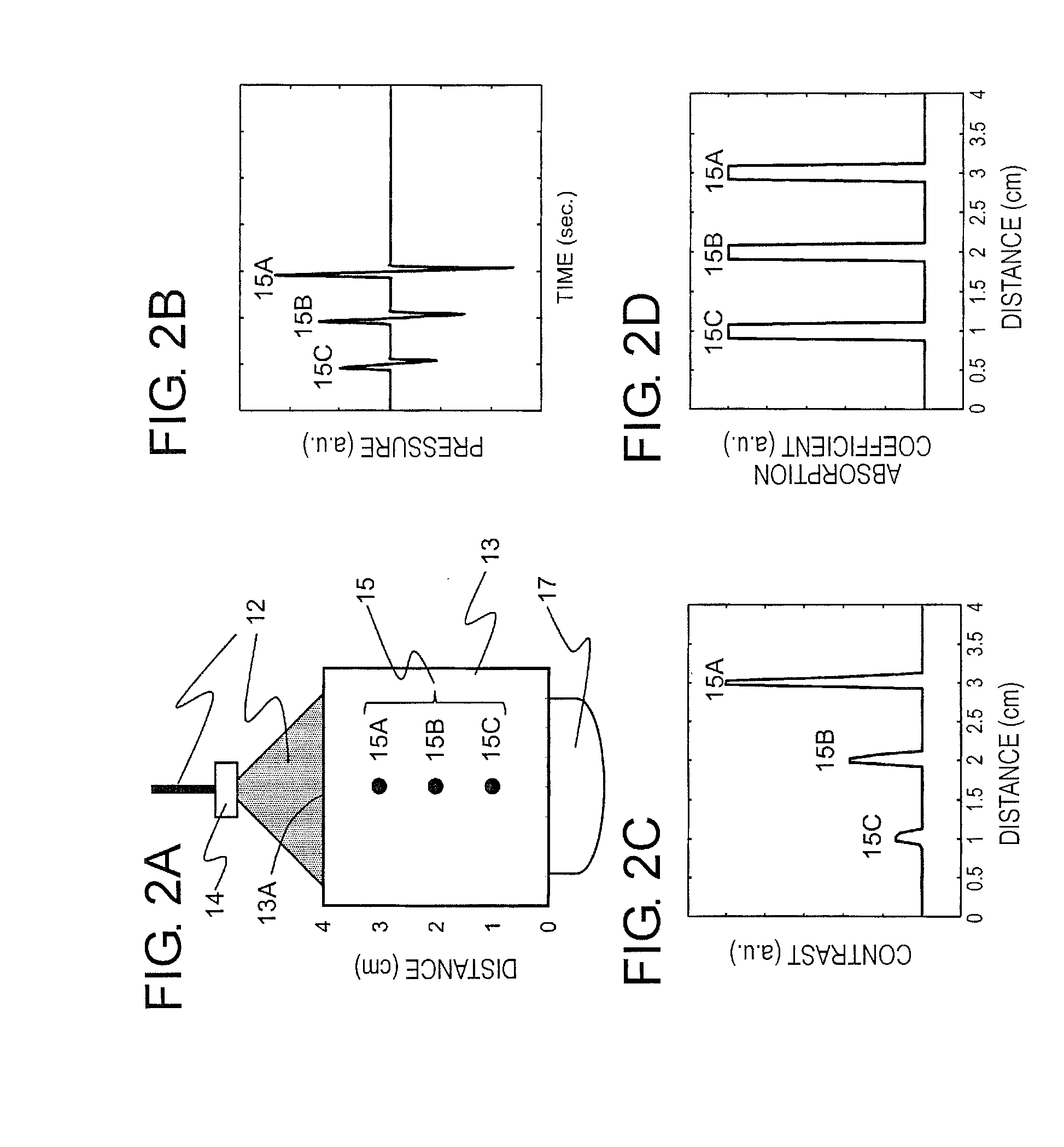 Biological information processing apparatus and biological information processing method