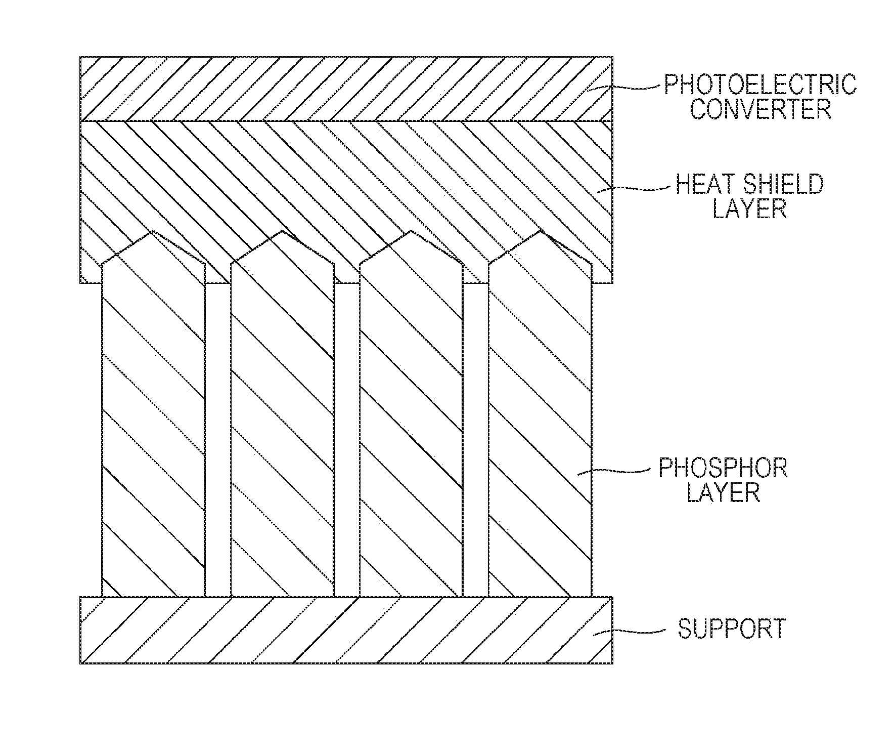 Radiographic image detector