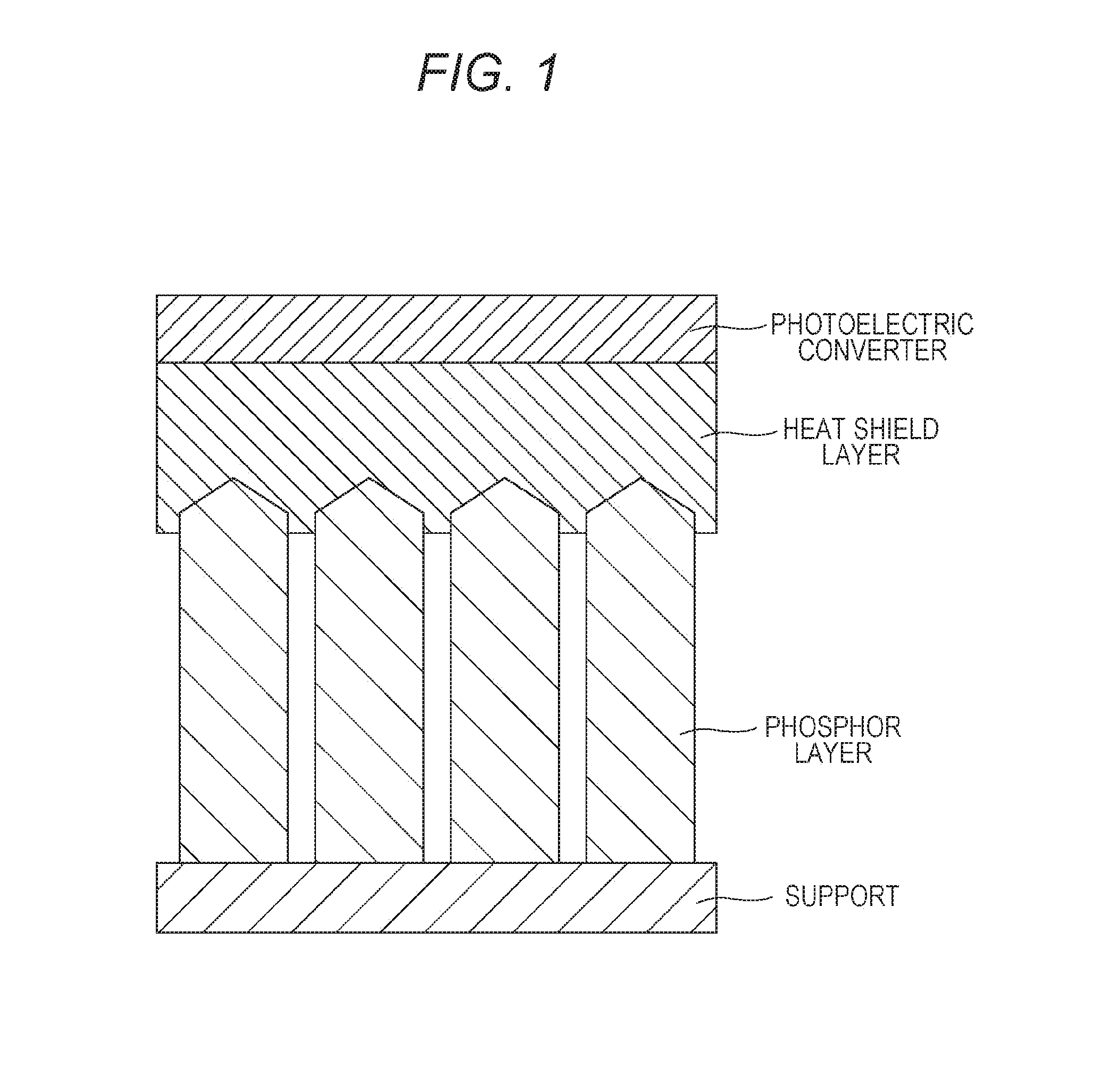 Radiographic image detector