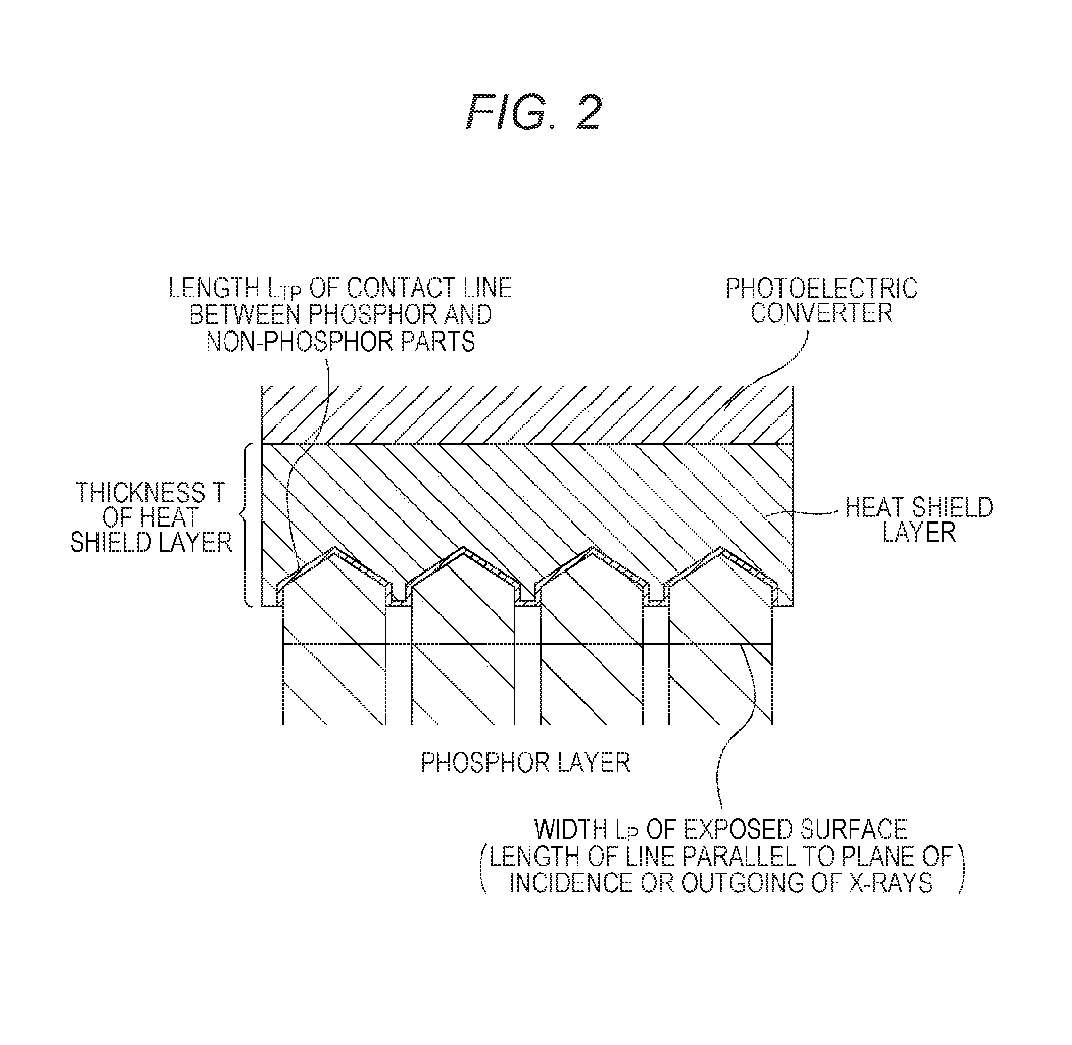 Radiographic image detector