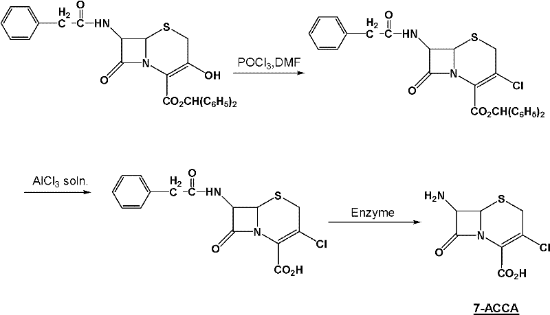 Method for preparing 7-ACCA