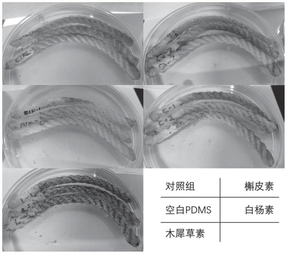 A kind of coating that reduces enteromorpha fouling and application method thereof