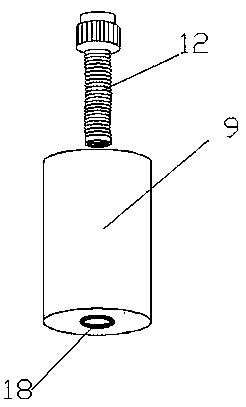 Method for regulating and controlling carbon flow of phytoplankton