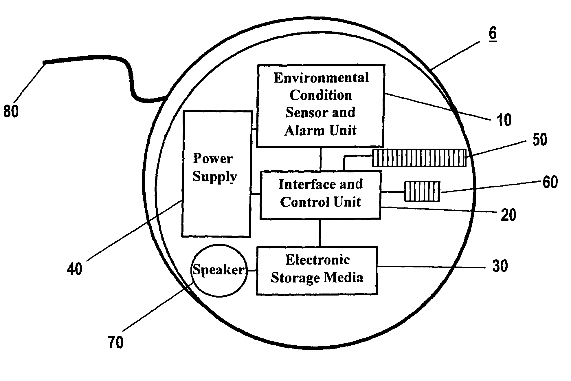 Environmental condition detector with audible alarm and voice identifier