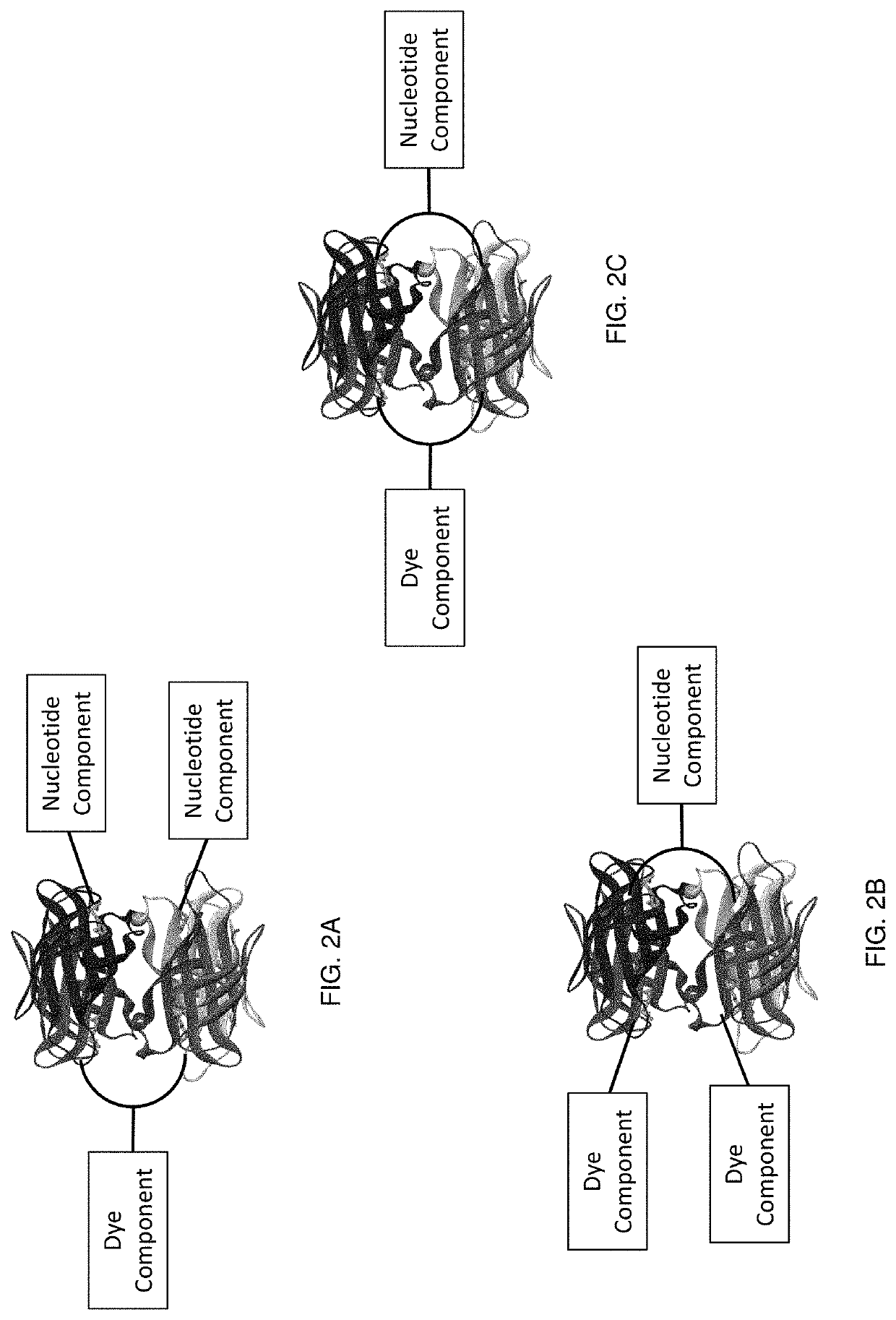 Labeled nucleotide analogs, reaction mixtures, and methods and systems for sequencing