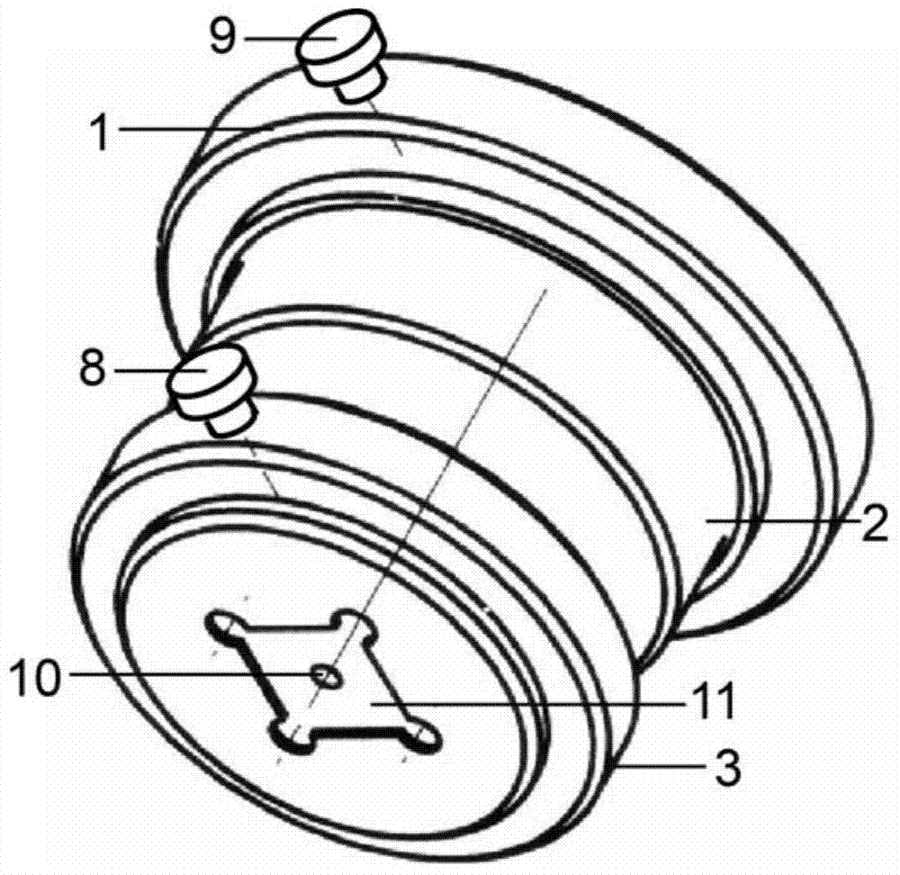 Battery for analyzing in-situ spectrum and using method and application thereof