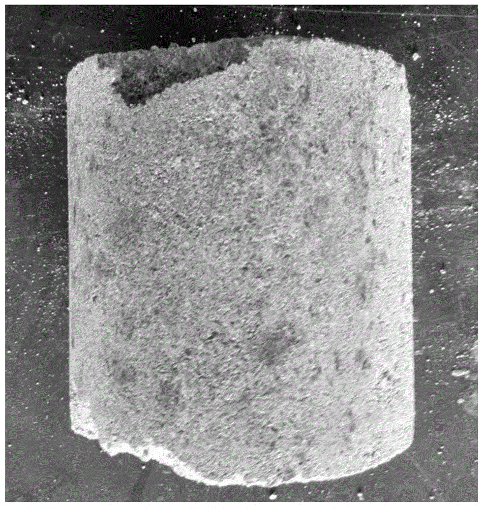 A reagent for soil consolidation using carbonic anhydrase microorganisms and its application method