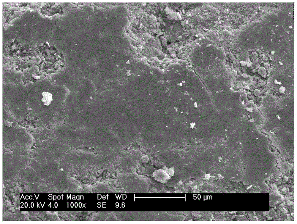 A reagent for soil consolidation using carbonic anhydrase microorganisms and its application method