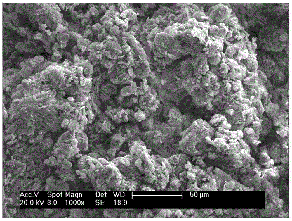 A reagent for soil consolidation using carbonic anhydrase microorganisms and its application method