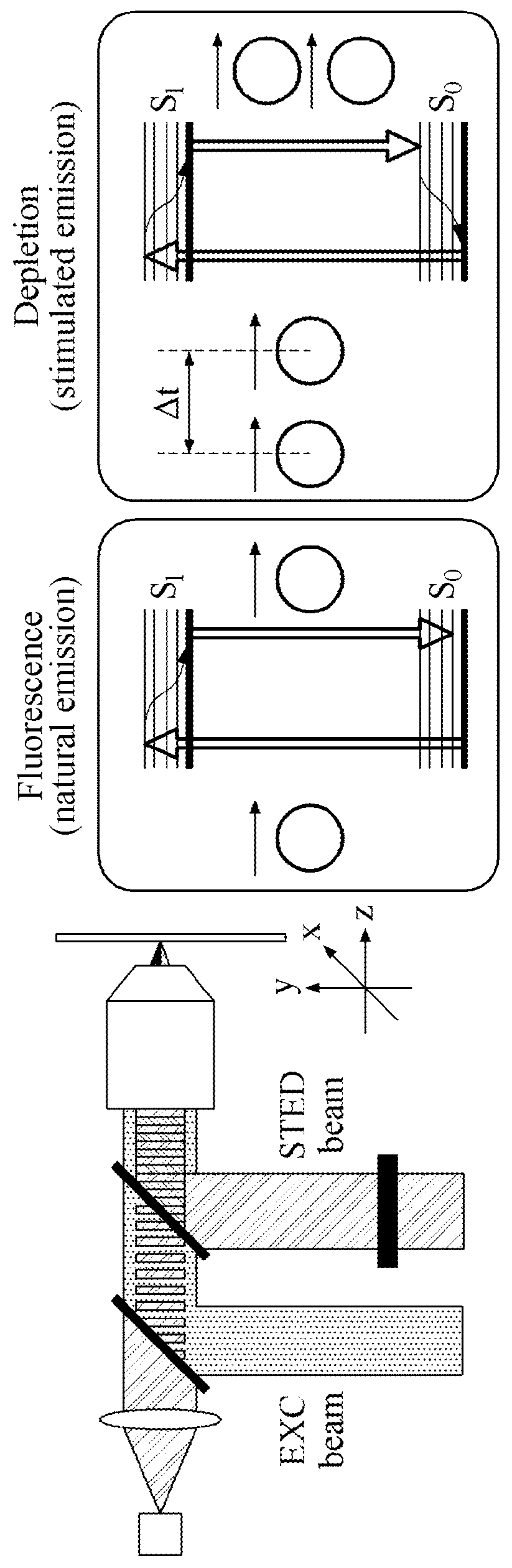 Total internal reflection fluorescence microscope (TIRFM)