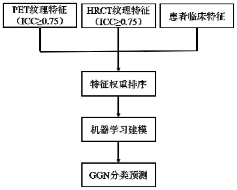 Machine learning-based bimodal image omics ground glass nodule classification method