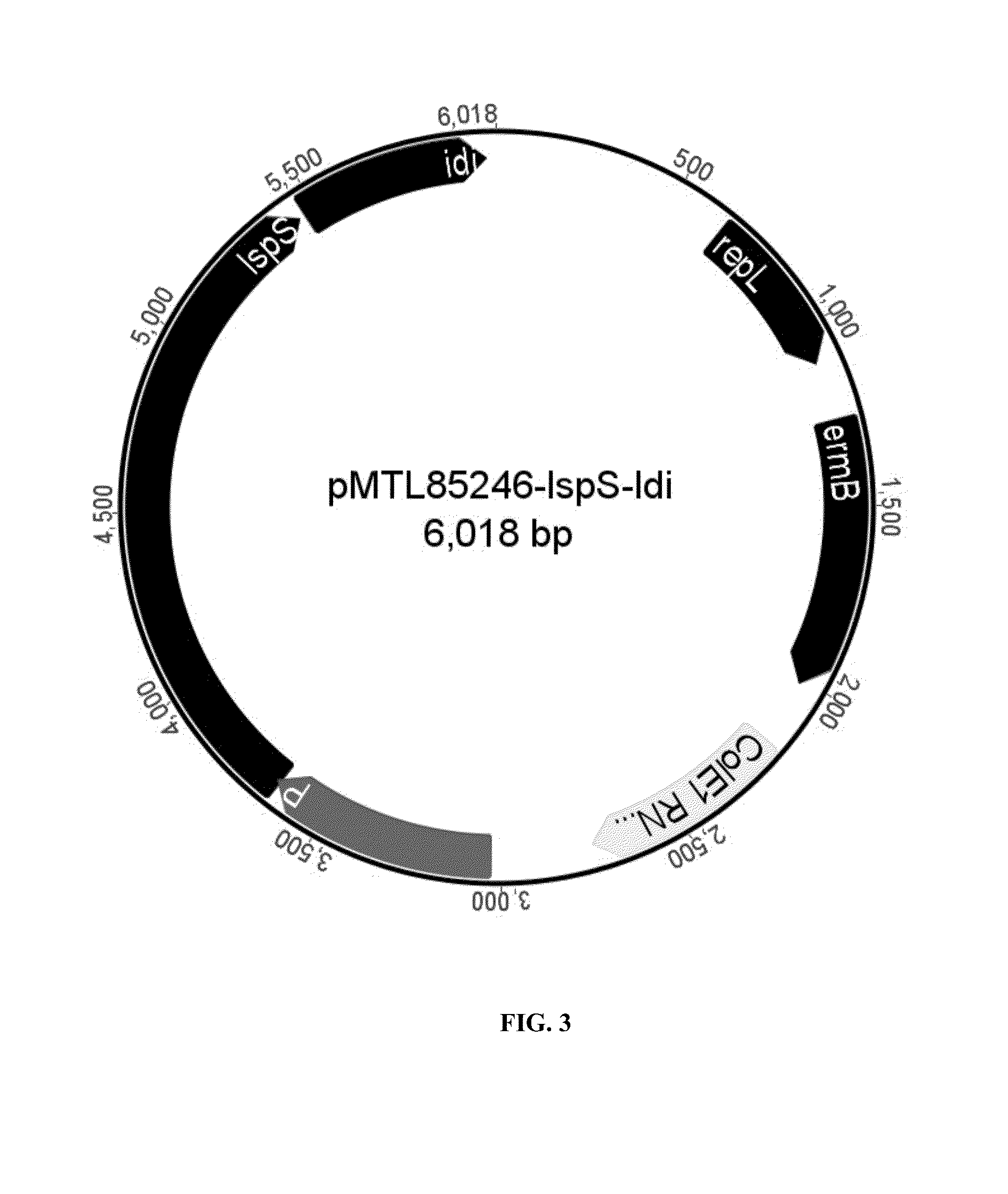 Recombinant microorganisms and uses therefor