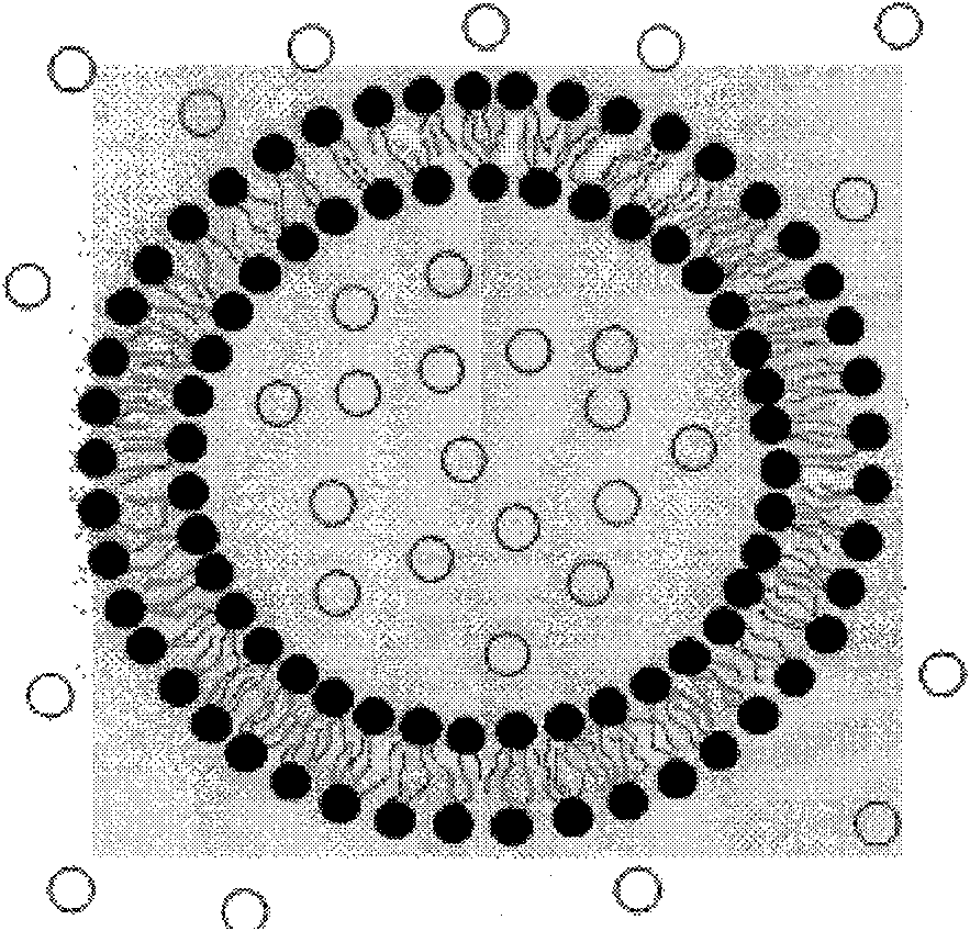 Stable albumins lipid medicine carrying system and preparation method thereof