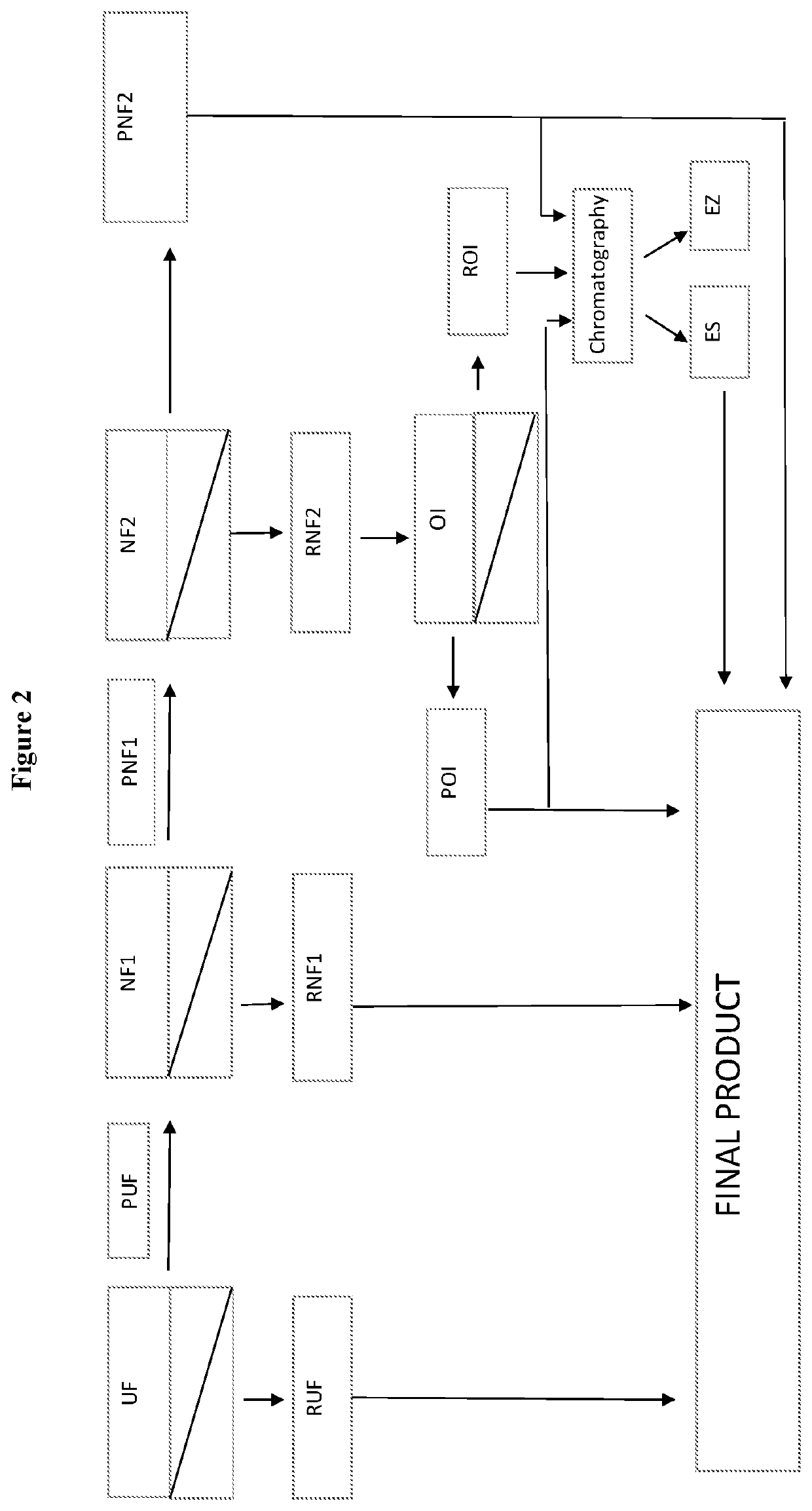 Process for preparing a lactose-free milk